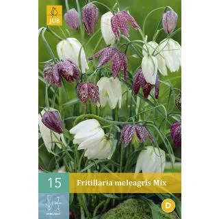 Compra FRITILLARIA MELEAGRIS MIX en la tienda online Fito Agrícola