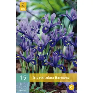 Compra IRIS RETICULATA HARMONY en la tienda online Fito Agrícola