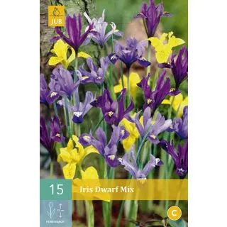 Compra IRIS DWARF MIX en la tienda online Fito Agrícola