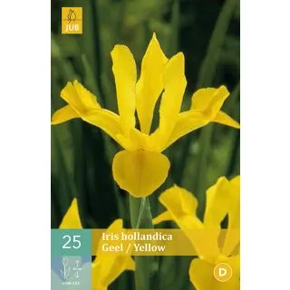 Compra IRIS HOLANDICA YELLOW en la tienda online Fito Agrícola
