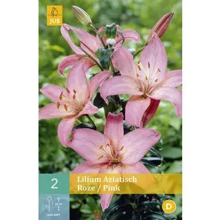 Compra LILIUM PINK ASIATICO en la tienda online Fito Agrícola
