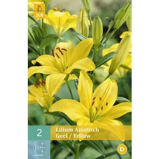 Compra LILIUM YELLOW ASIATICO en la tienda online Fito Agrícola