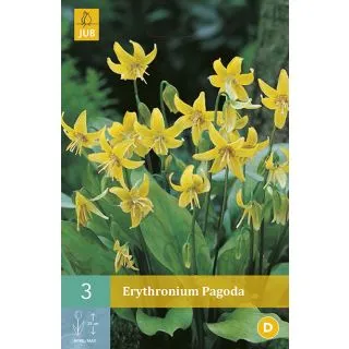 Compra ERYTHRONIUM PAGODA en la tienda online Fito Agrícola