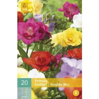 Compra FREESIA DOBLE MEZCLA en la tienda online Fito Agrícola