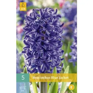 Compra JACINTOS BLUE JACKET en la tienda online Fito Agrícola