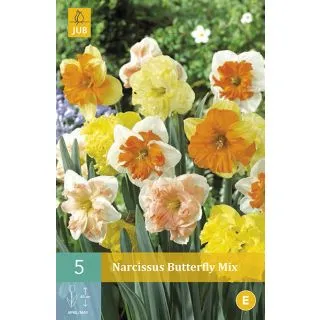 Compra NARCISOS BUTTERFLY MIX en la tienda online Fito Agrícola