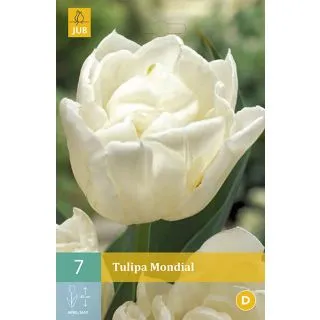 Compra TULIPÁN MONDIAL en la tienda online Fito Agrícola