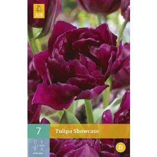Compra TULIPÁN SHOWCASE en la tienda online Fito Agrícola