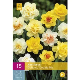 Compra NARCISOS DOBLES MIX XXL en la tienda online Fito Agrícola