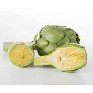 Compra ALCACHOFA SYMPHONY F-1 EPS150 en la tienda online Fito Agrícola