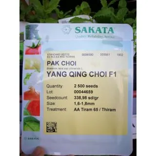 Compra PAK CHOI YANG QING CHOI F-1 (2.500 Semillas) en la tienda online Fito Agrícola