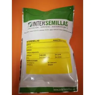 Compra PIMPINELLA BABY LEAF (100 gr.) en la tienda online Fito Agrícola