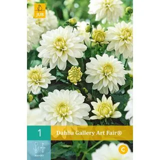 Compra DALIA ART FAIR ® en la tienda online Fito Agrícola