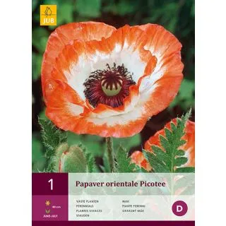 Compra AMAPOLA PICOTEE en la tienda online Fito Agrícola