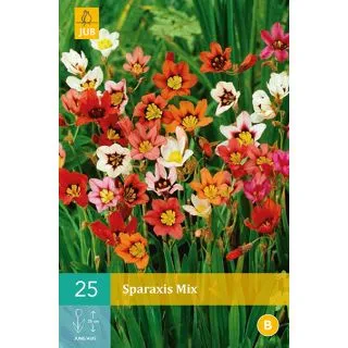 Compra SPARAXIS MIX en la tienda online Fito Agrícola
