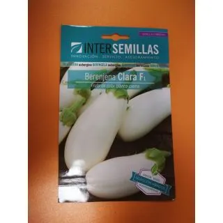 Compra BERENJENA CLARA F-1 (30 semillas) en la tienda online Fito Agrícola