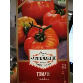 Compra TOMATE SAINTE LUCIE AB (50 Semillas) en la tienda online Fito Agrícola