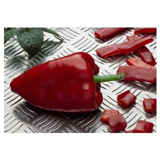 Compra PIMIENTO CORERA F-1 EPS104 en la tienda online Fito Agrícola