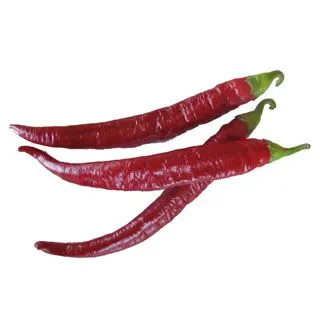 Compra PIMIENTO TIETAR F1 (1.000 Semillas) en la tienda online Fito Agrícola