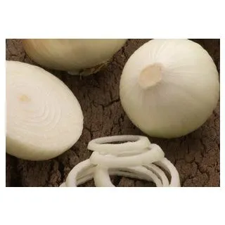 Compra CEBOLLA DULCE DE FUENTES (5 Kgr.). en la tienda online Fito Agrícola