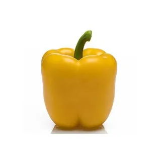 Compra PIMIENTO VERDEJO F-1 (1.000 Semillas) en la tienda online Fito Agrícola