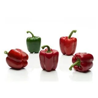 Compra PIMIENTO ENOL F-1 (1.000 Semillas) en la tienda online Fito Agrícola