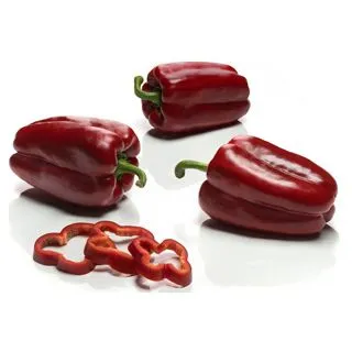 Compra PIMIENTO MEDULAS F-1 (1.000 Semillas) en la tienda online Fito Agrícola