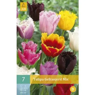 Compra TULIPÁN FRINGED MIX en la tienda online Fito Agrícola