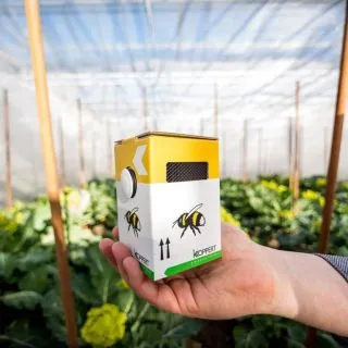 Compra NATUPOL SEEDS (Caja con 6 mini colmenas) en la tienda online Fito Agrícola