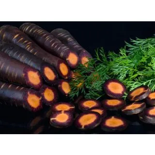 Compra ZANAHORIA PURPLE HAZE F1 Precisión (100.000 Semillas Cal. 1.8 - 2.0 mm.) en la tienda online Fito Agrícola