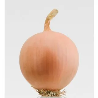 Compra CEBOLLA PESO F-1 Precisión (250.000 Semillas) en la tienda online Fito Agrícola