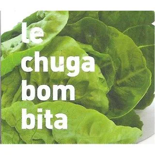 Compra LECHUGA BOMBITA EPS294 en la tienda online Fito Agrícola