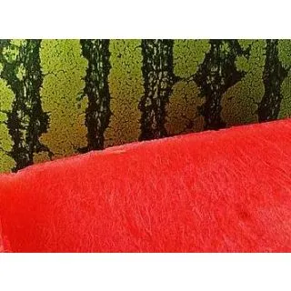 Compra SANDÍA RAYADA F1 Sin Semilla Injertada EPS70 en la tienda online Fito Agrícola