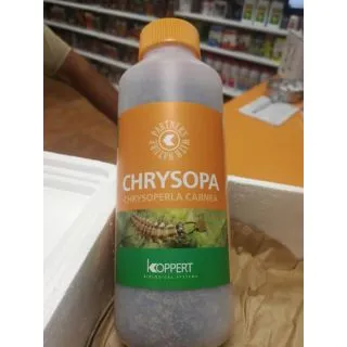 Compra CHRYSOPA 1000 (Bote 500 c.c.) en la tienda online Fito Agrícola