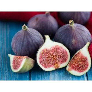 Compra HIGUERA COLAR - ALBACOR (Breva) en la tienda online Fito Agrícola