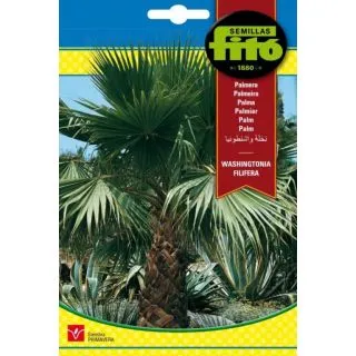 Compra PALMERA WASHINGTONIA (10 Semillas) en la tienda online Fito Agrícola