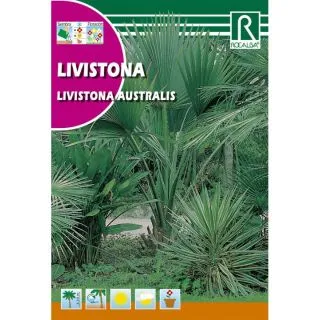 Compra PALMERA LIVISTONA (2 Semillas). en la tienda online Fito Agrícola
