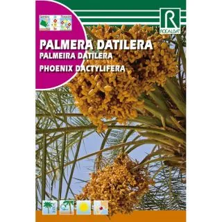 Compra PALMERA DATILERA (6 gr.). en la tienda online Fito Agrícola