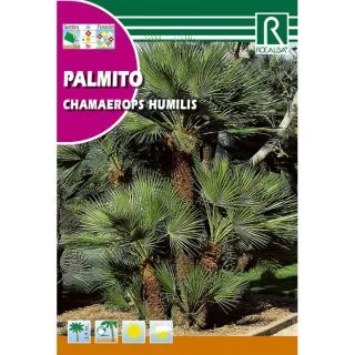 Compra PALMITO (5 Semillas) en la tienda online Fito Agrícola