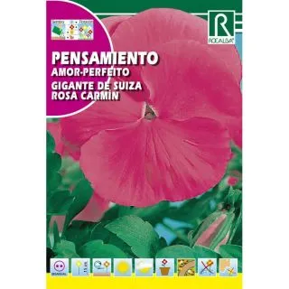 Compra PENSAMIENTO GIGANTE SUIZO ROSA CARMÍN (0,5 gr.). en la tienda online Fito Agrícola