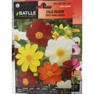 Compra DALIA MIGNON SIMPLE ENANA VARIADA (2 gr.). en la tienda online Fito Agrícola