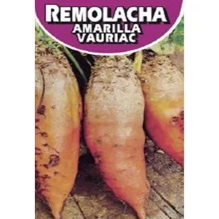Compra REMOLACHA FORRAJERA AMARILLA VAURIAC (10 Kgr.). en la tienda online Fito Agrícola