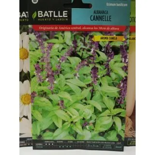 Compra ALBAHACA CANELA (1,20 gr. - Cerca de 800 Semillas) en la tienda online Fito Agrícola
