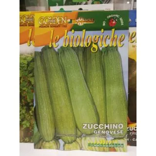 Compra CALABACÍN GENOVESE BIO (5 gr.). en la tienda online Fito Agrícola