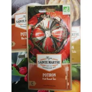 Compra CALABAZA TURBANTE TURCO PEQUEÑA AB (15 Semillas) en la tienda online Fito Agrícola