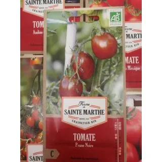 Compra TOMATE PRUNE NOIRE AB (50 Semillas) en la tienda online Fito Agrícola