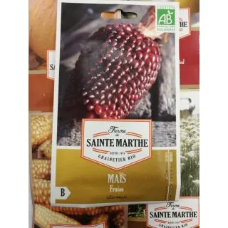 Compra MAÍZ FRESA POP CORN AB (50 Semillas) en la tienda online Fito Agrícola