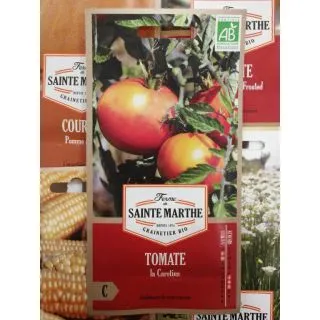 Compra TOMATE LA CAROTINA AB (50 Semillas) en la tienda online Fito Agrícola