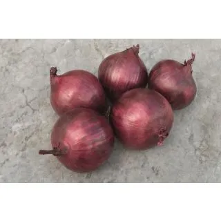 Compra CEBOLLA RED RUM F-1 ECOLÓGICA Precisión (10.000 Semillas). en la tienda online Fito Agrícola