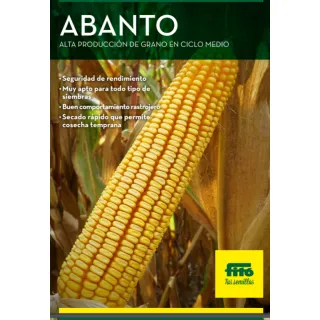 Compra MAÍZ ABANTO Ciclo 500 Sin Tratar (50.000 Semillas) en la tienda online Fito Agrícola